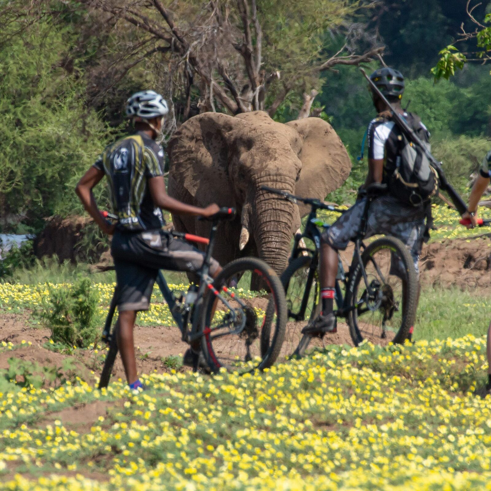 Land of the Giants cycle tour by Tales from Africa Travel