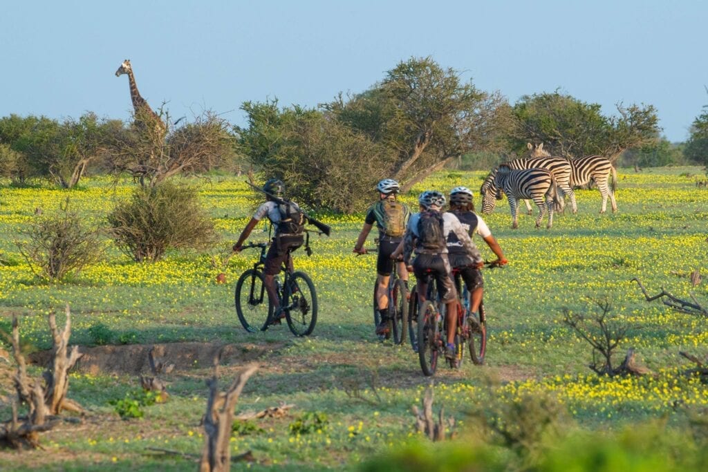 Land of the Giants cycle tour by Tales from Africa Travel