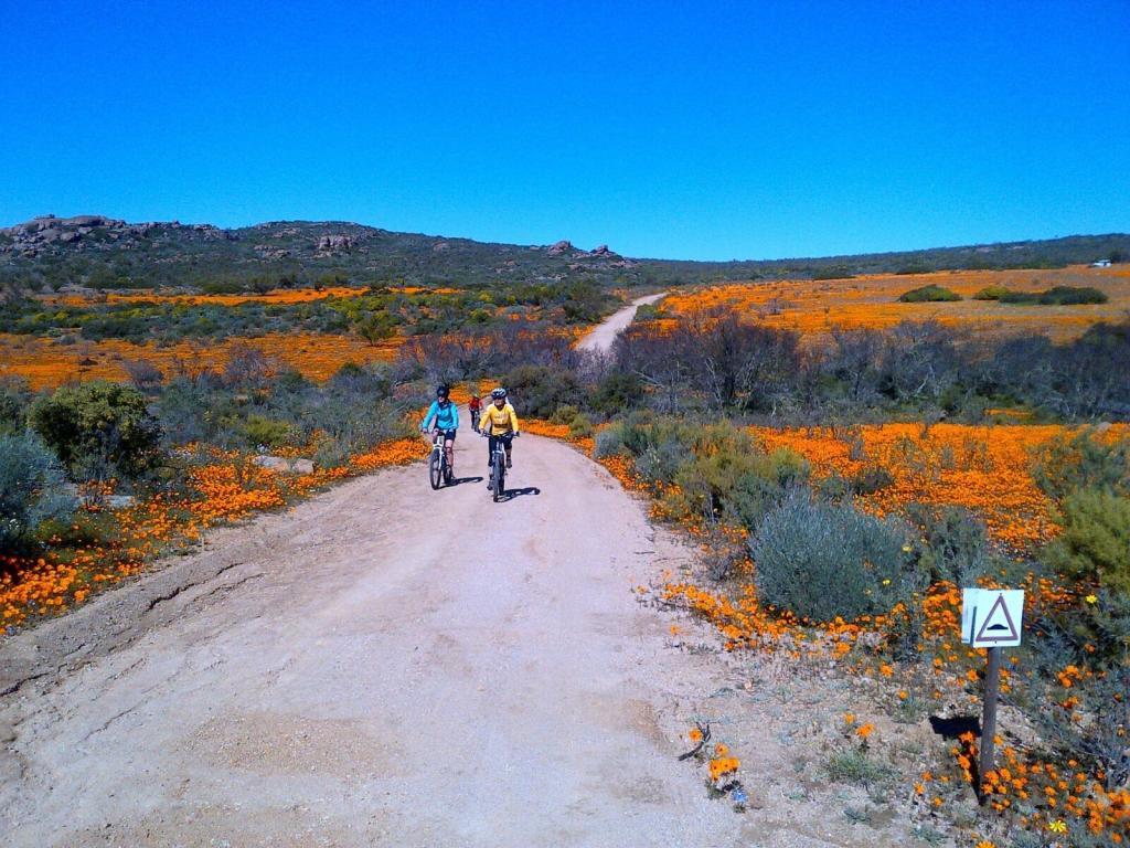 The flowering desert cycle tour by Tales from Africa Travel