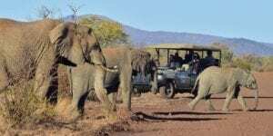 City of Gold & Safari in the Bush 6-day city-break from Tales from Africa Travel