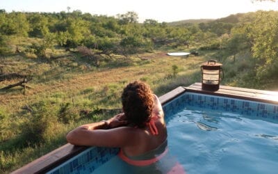 testimonial Tales from Africa Travel
